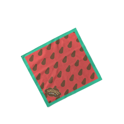 Kimkimo Fairy Bandana